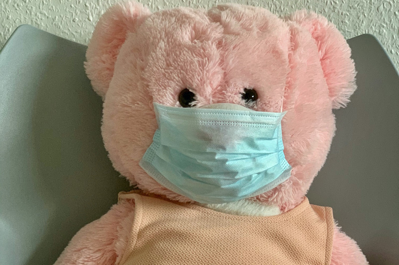 Bear with Mask