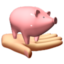 budget and expenses tracking