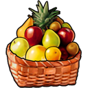 usda cacfp meal and menu planning